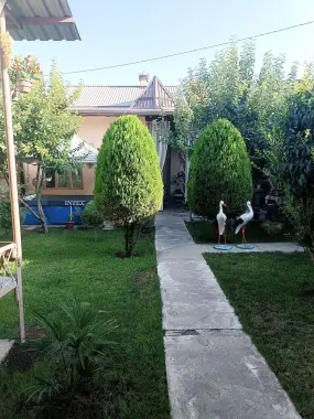 Ijaraga kvartira