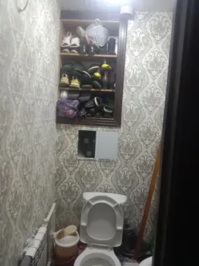 Asalomalikum vodnikda kvartara bor faqat qizlarga