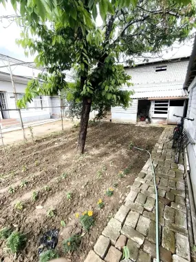 4.1 Sotik uy sotiladi. Arenter AkfaMedline, Beruniy