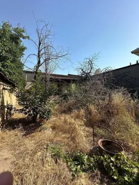 Hovli ,uchtepa tumani taqachi mahalllada