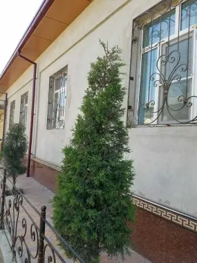 Недорого! Участок 6 соток совсем удобствами в махалле Гузаль