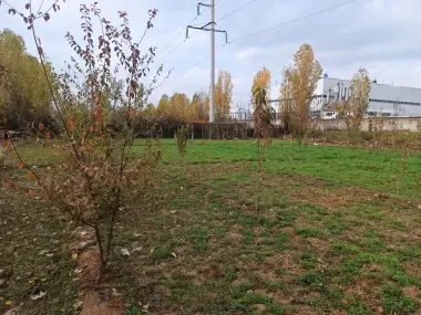 Продается участок, Участок сотилади