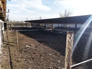 Продаётся срочно ферма не далеко от Ташкента