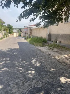 Uch tepa Sakokiy dongdor maxalla