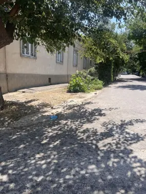 Uch tepa Sakokiy dongdor maxalla
