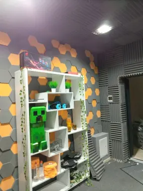 Акустика, шумка, студийный поролон