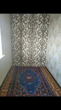 Faqat Oyila ichun