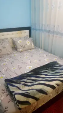 Кунлик квартира (Закс) болши кере