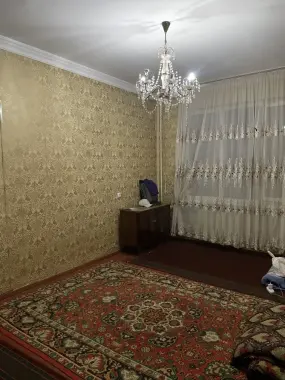 Kvartiraga bollar kerak