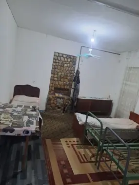 Kvartira arendaga 1 ta o’g’il bolaga