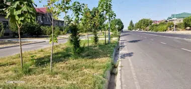 Uy yer sotiladi uchaska