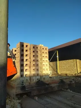 Pishkan ĝisht bor