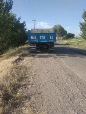 Pishgan va xom g'ish