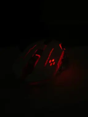 Mouse gamig, мышка ддя кам