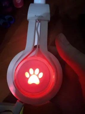 Hoco premium product беспроводные наушники для детей