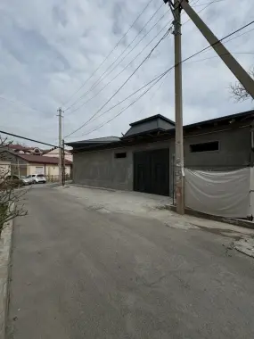 Ипакчилик.Гулзордаги Колани оркаси