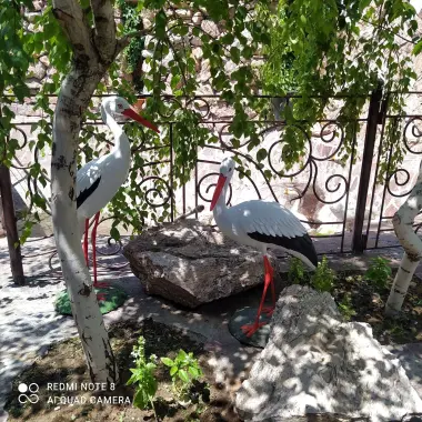 Продам дом в яшнободском районе