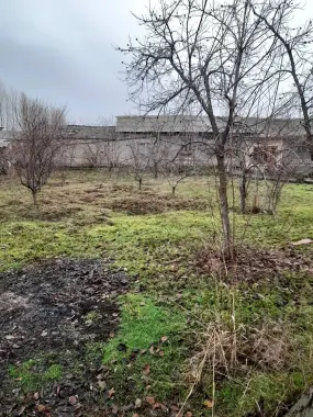 Участка 20 сотих