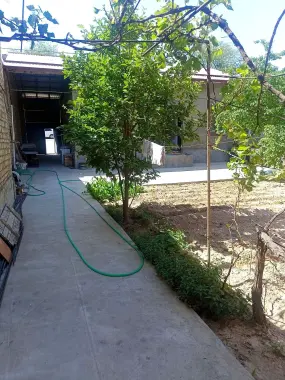 Hovli uy Toshkent