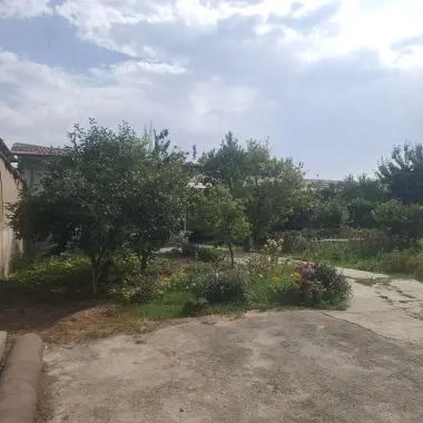 Aniq olish niyati borla iloji bo'lsa telefon qisin