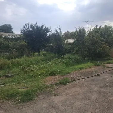 Aniq olish niyati borla iloji bo'lsa telefon qisin
