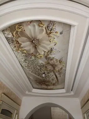 Недвижимость участка