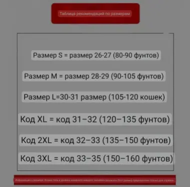 Современные эстетические джогеры