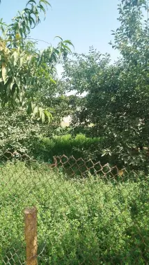 Uchastka sotiladi