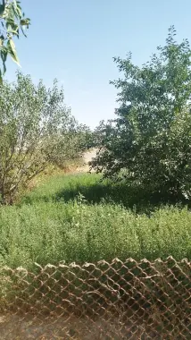 Uchastka sotiladi