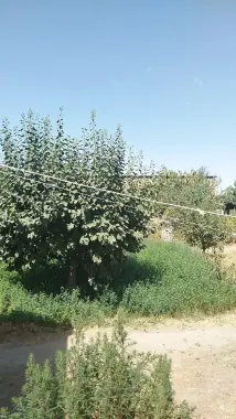 Uchastka sotiladi