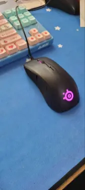 SteelSeries Rival 300