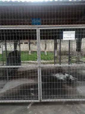 Сдам в аренду гараж