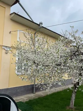 Кизларга ижара уй