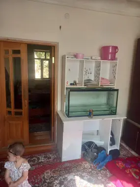 Uch tepa sakokiy