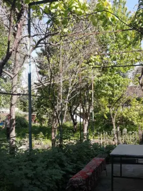 Дом с участком в Ташкенте