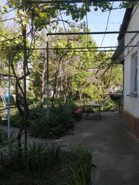 Дом с участком в Ташкенте