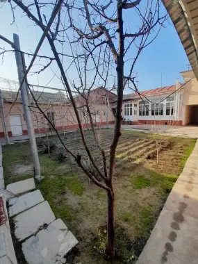 Уй сотилади 4,7 сотик