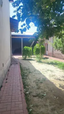 Xovli sotiladi komolon masjididan 500 metr 6.23 sotix
