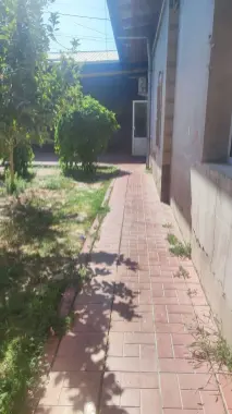 Xovli sotiladi komolon masjididan 500 metr 6.23 sotix