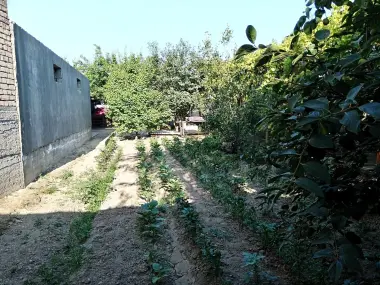 Bektemirda Tayyor xovli sotiladi