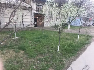 Uchaska 10 sotik