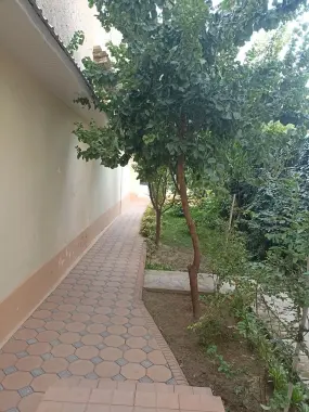 Новмасковский участок