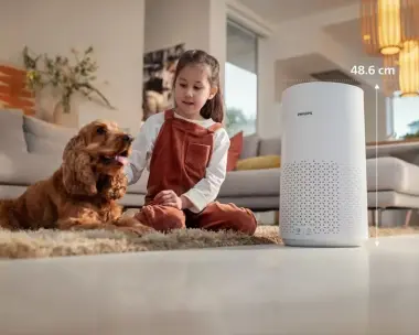 Очиститель воздуха Philips 1711