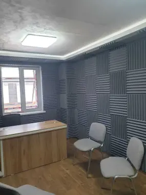 Акустический поролон AURA