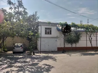 Toshken Shaxar Chilonzor Tuman Dombirabod Serquyosh 3 taor 29 honadon