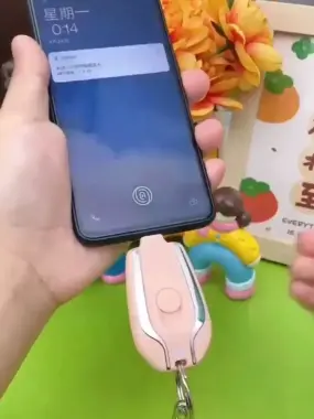 Telefon zaryadlovchi Powerbank