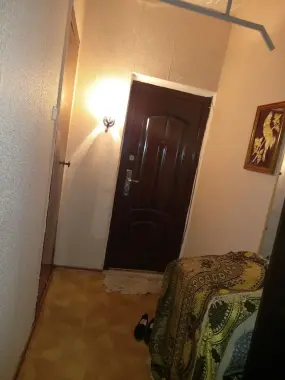 Ijaraga kvartira oʻqiydigan ishlaydigan qizlarga 700 mingdan