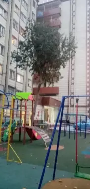 1 xonali Korakamish 2/4 Tansikbaev3 studentlarga va oilaga beriladi