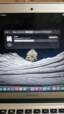 Macbook air ( 13-inch, Early 2014)