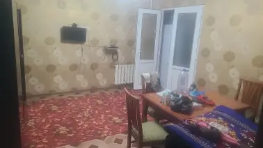 TTZda talaba qizlarga